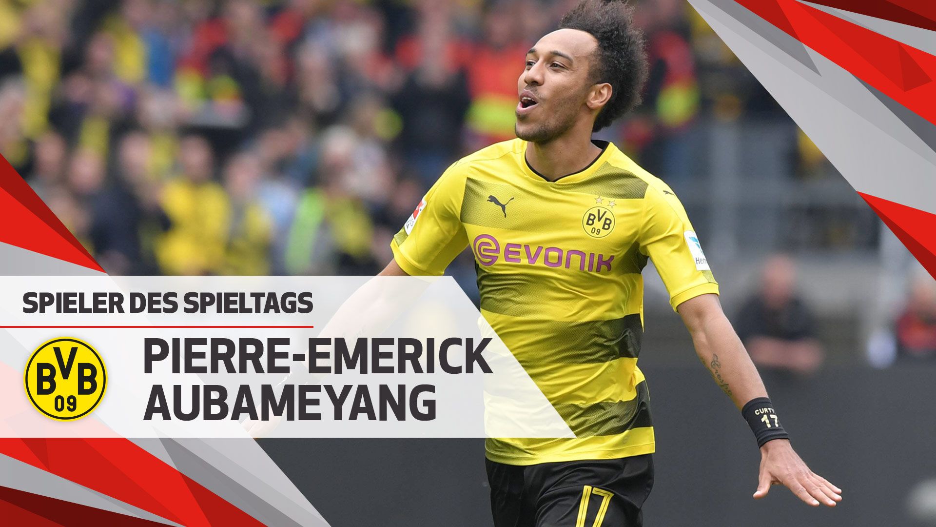 新型自动排渣过滤机