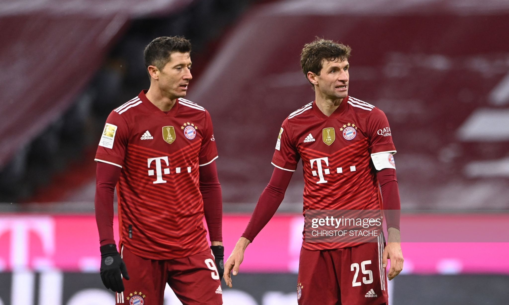 30吨植物油精炼设备