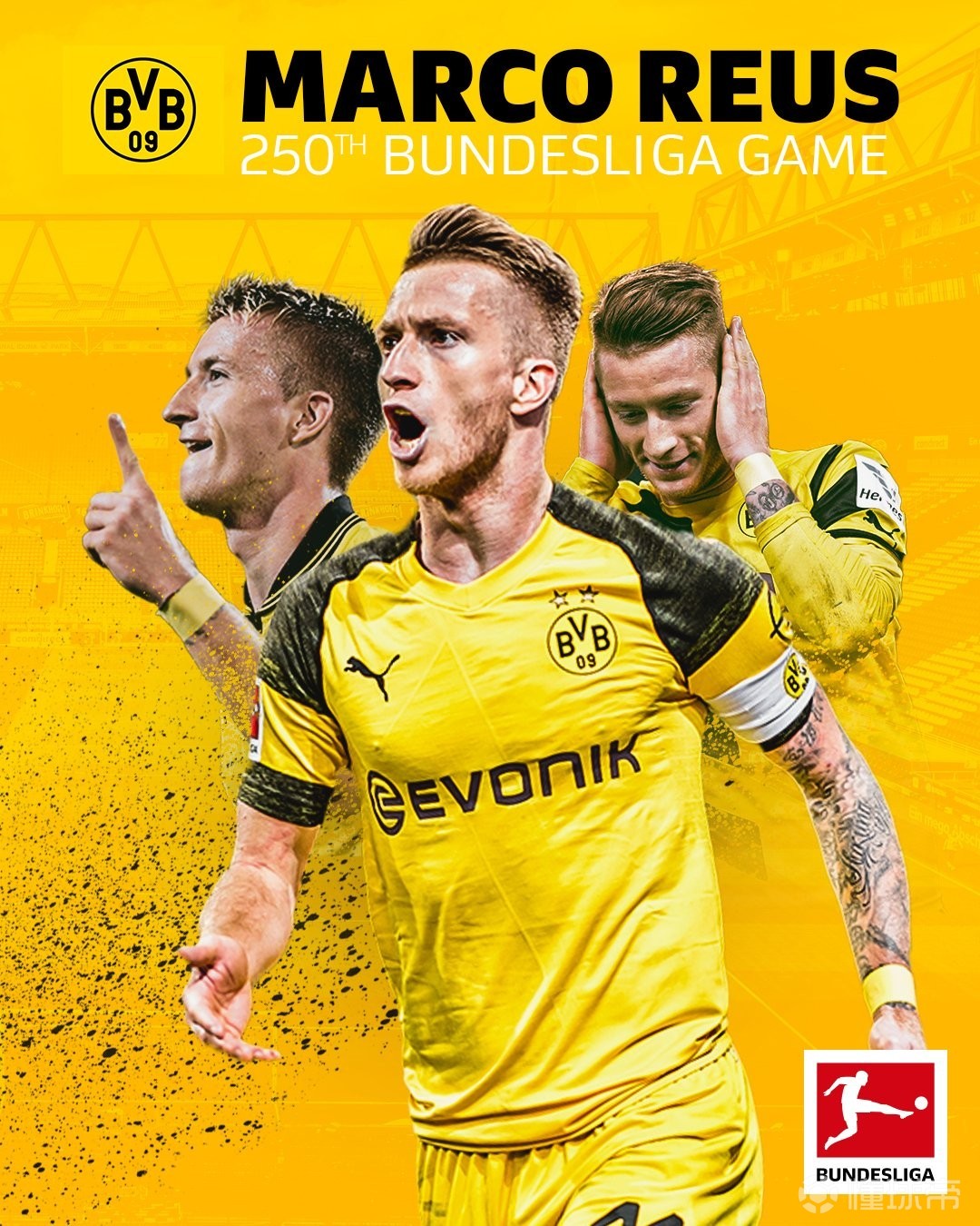 日处理10T动物油熬练生产线